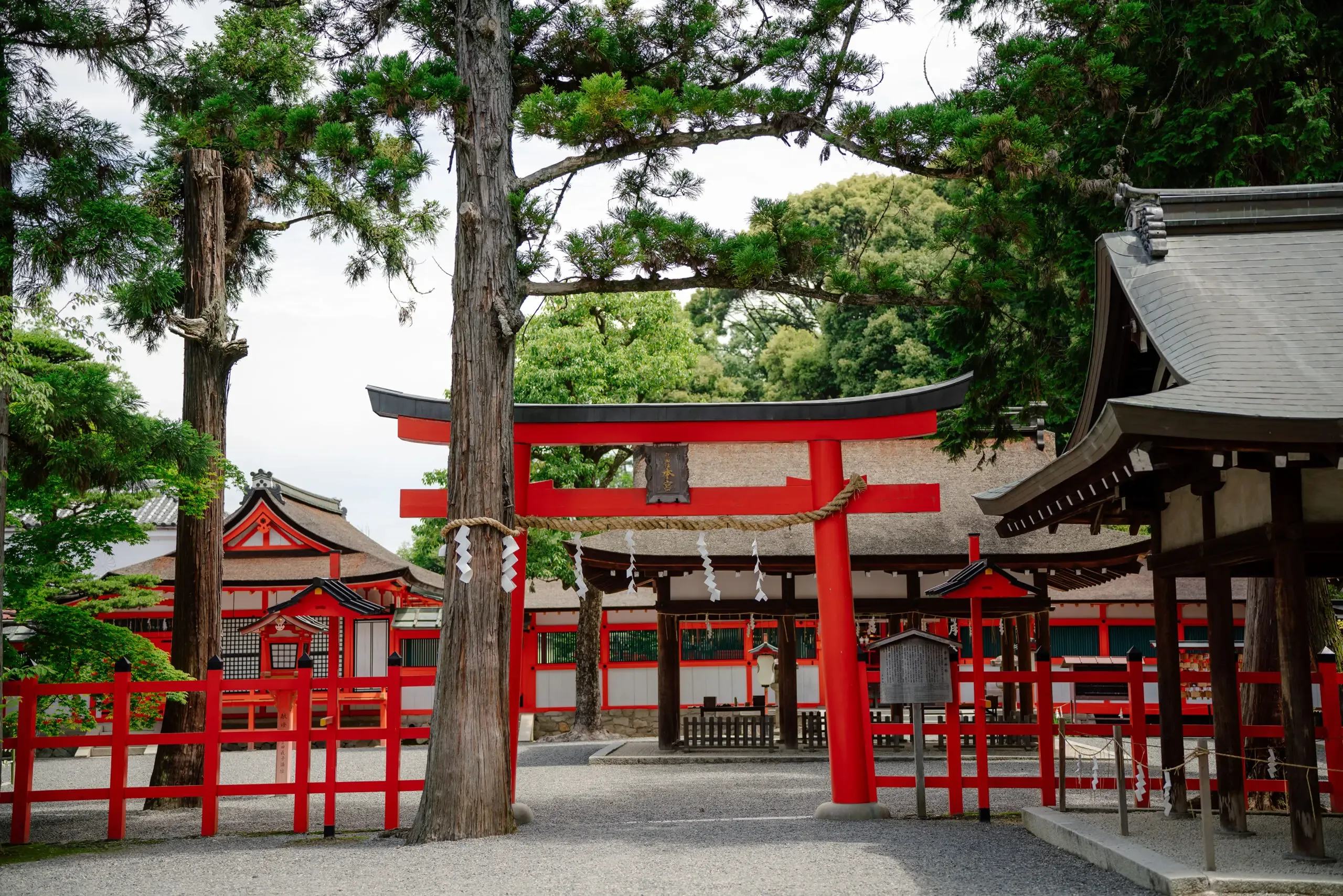吉田神社の写真