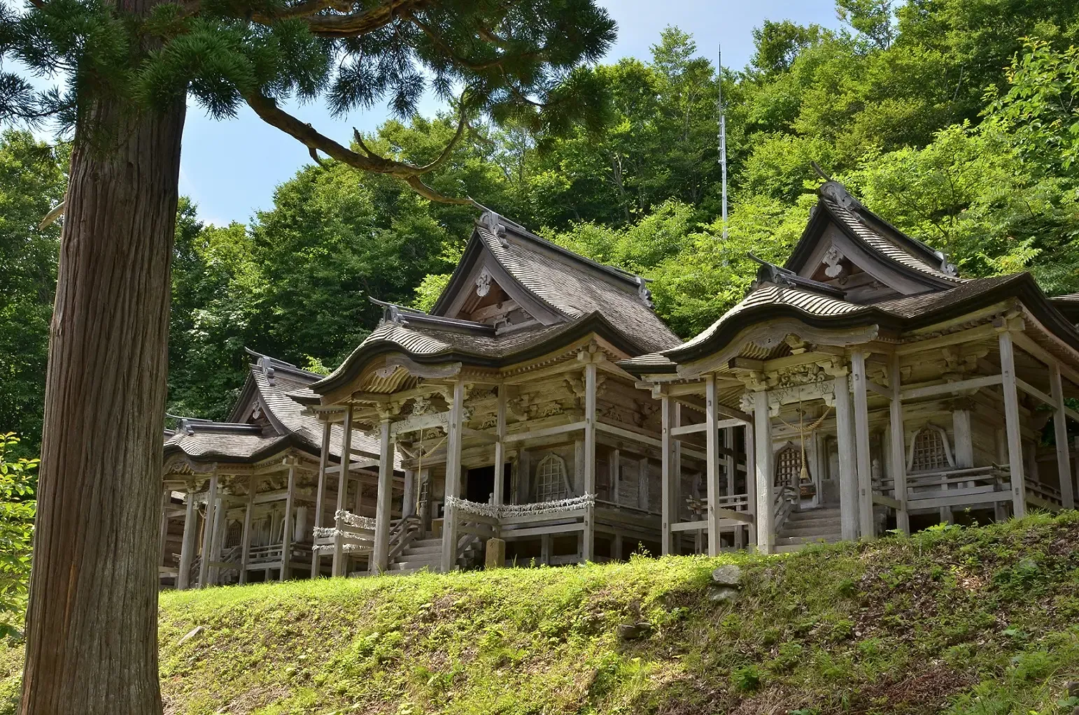 赤神神社 五社堂の写真